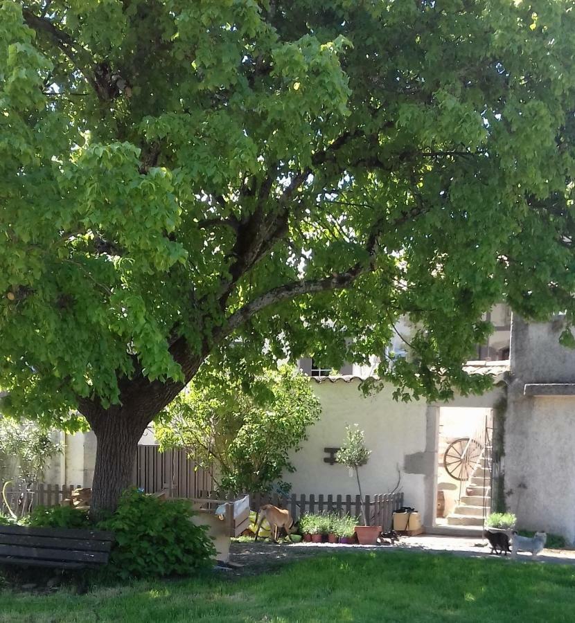 Le Patio Aux Hirondelles Villa Lagorce  Dış mekan fotoğraf