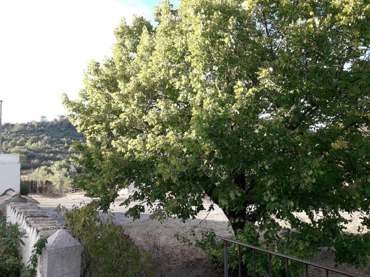 Le Patio Aux Hirondelles Villa Lagorce  Dış mekan fotoğraf