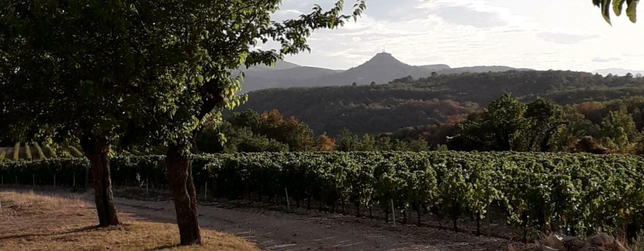 Le Patio Aux Hirondelles Villa Lagorce  Dış mekan fotoğraf